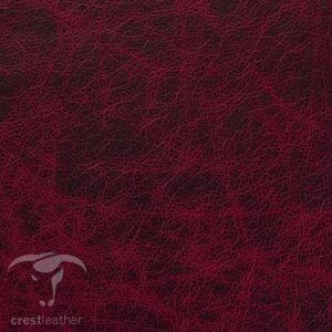 Saloon - Garnet